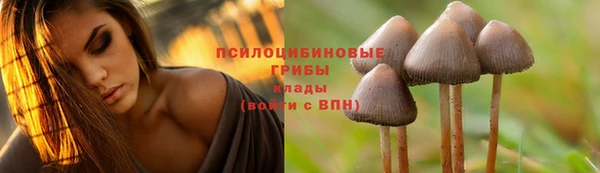 кокс Липки