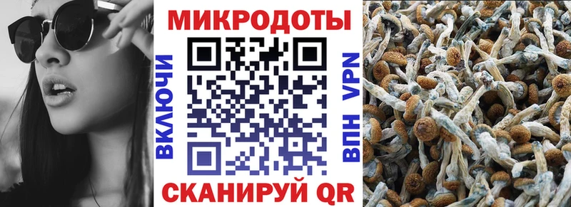 Галлюциногенные грибы Psilocybine cubensis  Каспийск 