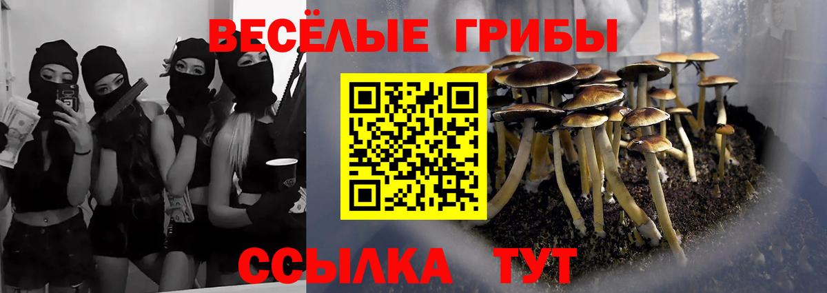 закладки  Вход с VPN  Каспийск  Псилоцибиновые грибы Psilocybine cubensis 
